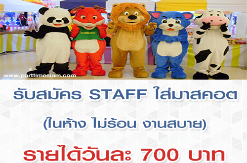 รับสมัคร STAFF ใส่มาสคอต (วันละ 700 บาท)