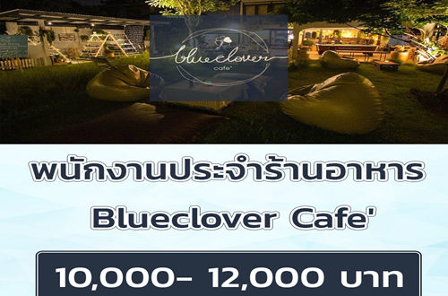 รับสมัครพนักงานประจำร้านอาหาร Blueclover Cafe’
