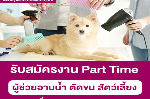 งาน Part Time ผู้ช่วยอาบน้ำ ตัดขน สัตว์เลี้ยง