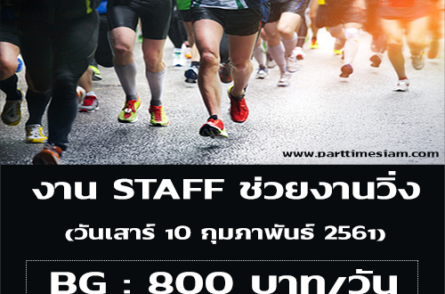 งาน STAFF จำนวน 17 คน ช่วยงานวิ่ง (BG : 800 บาท)