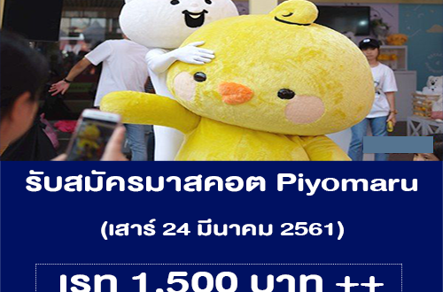 รับสมัครคนใส่ชุดมาสคอต Piyomaru (เรท 1,500 บาท++)