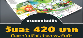 พนักงานแจกใบปลิวในห้าง (Part Time) วันละ 500 บาท