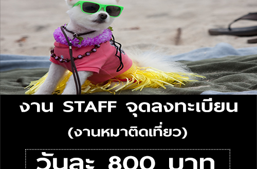 รับสมัครพนักงาน STAFF งานหมาติดเที่ยว (วันละ 800 บาท)