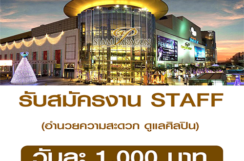 งาน STAFF ดูแลศิลปิน อำนวยความสะดวก (วันละ 1,000 บาท)