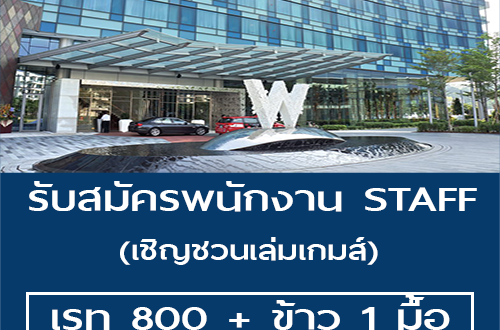 งาน STAFF เชิญชวนเล่มเกมส์ (เรท 800 บาท)