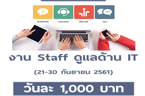 งาน Part Time Staff ดูแลด้าน IT (วันละ 1,000 บาท)