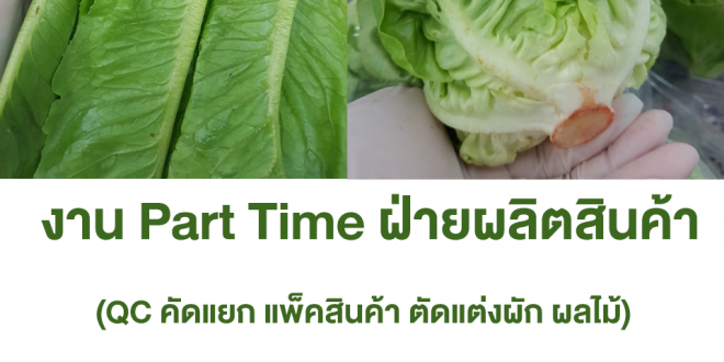 งาน Part Time ฝ่ายผลิตสินค้า (วันละ 400 บาท + โอที)