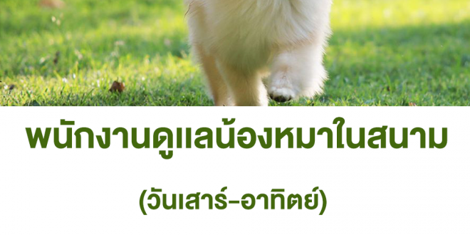 รับสมัครพนักงานดูเเลน้องหมา (Part Time) เสาร์-อาทิตย์