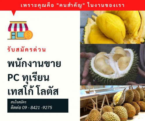 Tesco Lotus รับสมัครพนักงานขายผลไม้ (วันละ 350-450 บาท)