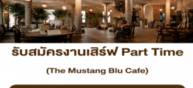 พนักงานเสิร์ฟ (Part Time) ประจำร้าน The Mustang Blu Cafe