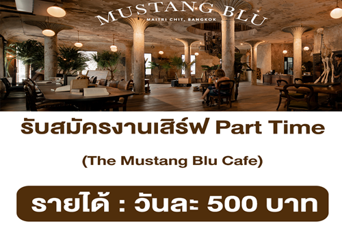 พนักงานเสิร์ฟ (Part Time) ประจำร้าน The Mustang Blu Cafe