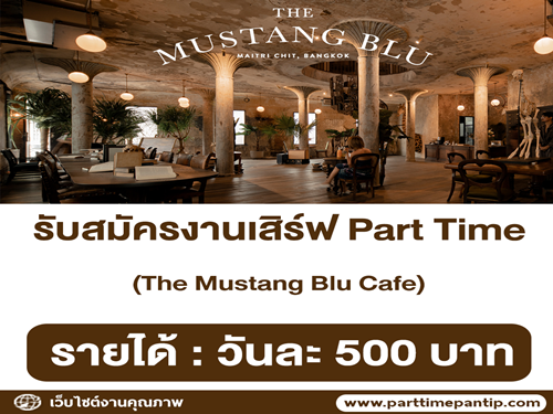 พนักงานเสิร์ฟ (Part Time) ประจำร้าน The Mustang Blu Cafe