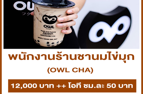 รับสมัครพนักงานร้านชานมไข่มุก OWL CHA