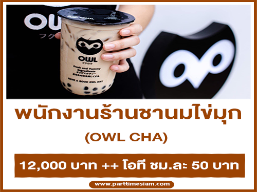 รับสมัครพนักงานร้านชานมไข่มุก OWL CHA รับสมัครพนักงานร้านชานมไข่มุก OWL CHA