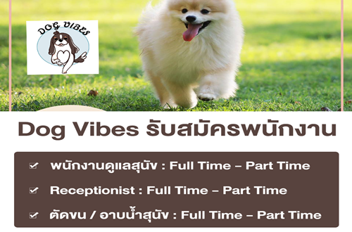 งาน Part Time ร้านคาเฟ่สุนัข Dog Vibes