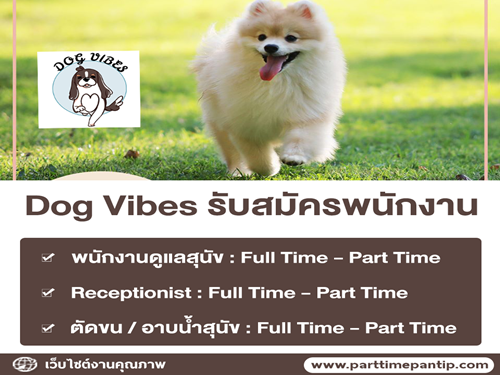 งาน Part Time ร้านคาเฟ่สุนัข Dog Vibes