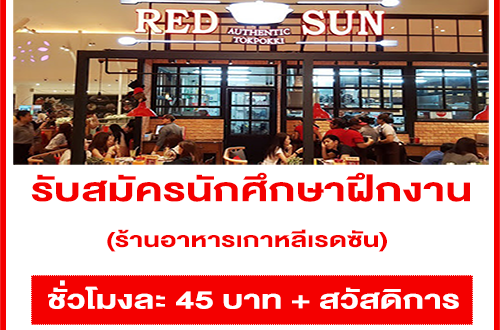 รับสมัครนักศึกษาฝึกงาน ร้านอาหารเกาหลีเรดซัน