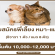 รับสมัครพี่เลี้ยง น้องหมาชิวาวา – น้องแมว 8 ตัว