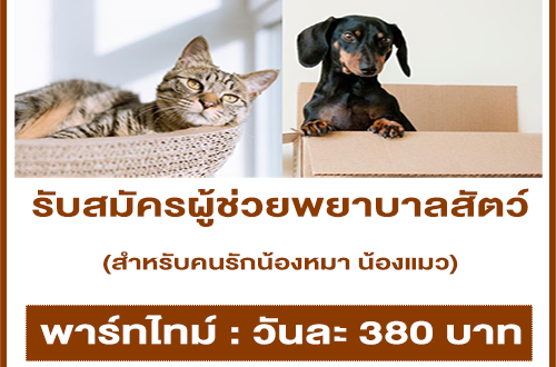 งาน Part Time ผู้ช่วยพยาบาลสัตว์ (วันละ 380 บาท)