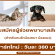 งาน Part Time ผู้ช่วยพยาบาลสัตว์ (วันละ 380 บาท)