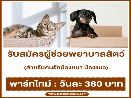 งาน Part Time ผู้ช่วยพยาบาลสัตว์ (วันละ 380 บาท)