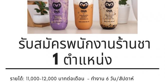 งาน Part Time – Full Time ร้านชานมไข่มุก Owl Cha