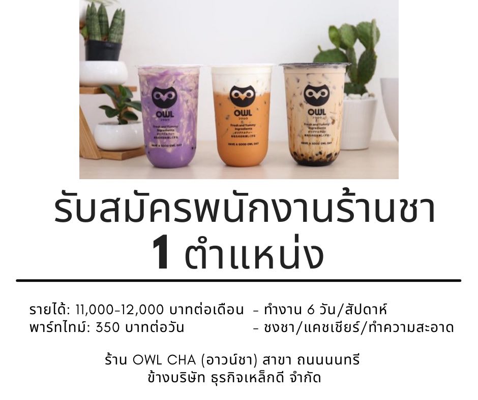 งาน Part Time – Full Time ร้านชานมไข่มุก Owl Cha