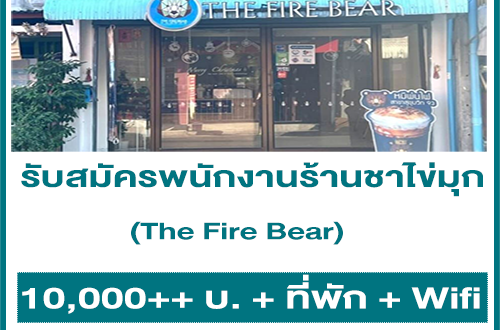 รับสมัครพนักงานร้านชาไข่มุก หมีพ่นไฟ The Fire Bear