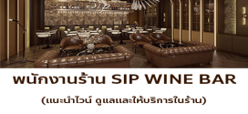 รับสมัครพนักงานร้าน SIP WINE BAR (ร้านอาหาร & Wine Bar)