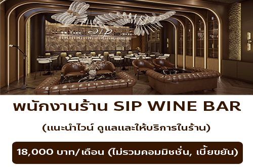 รับสมัครพนักงานร้าน SIP WINE BAR (ร้านอาหาร & Wine Bar)